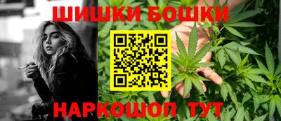сатива Пенза