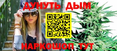 сатива Пенза