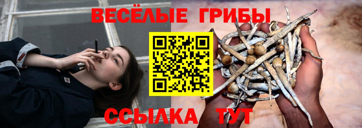 Старая Купавна  Галлюциногенные грибы ЛСД  Вход с VPN 
