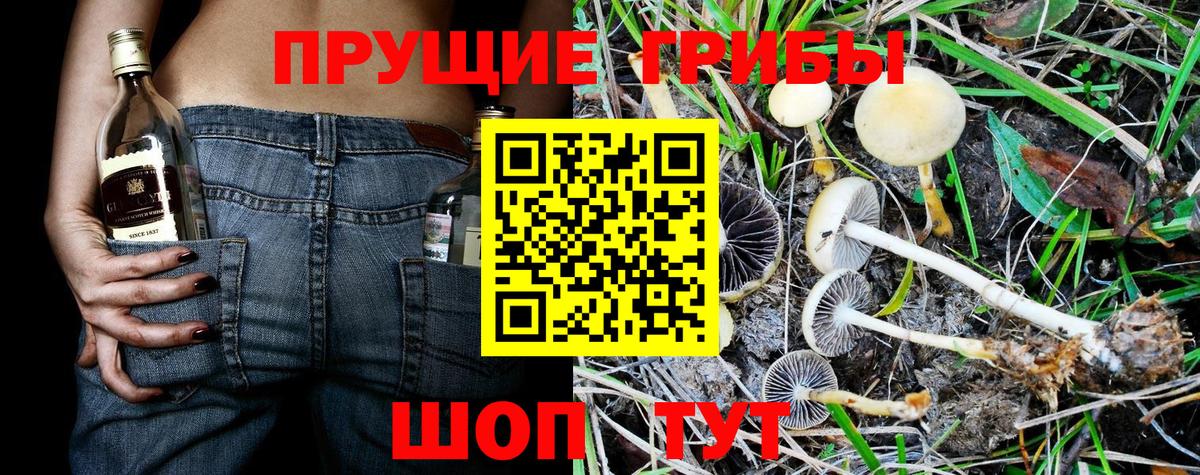Галлюциногенные грибы GOLDEN TEACHER Старая Купавна